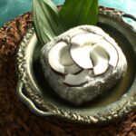 Top Coconut Milk Brands: Creamiest Picks for Every Dish